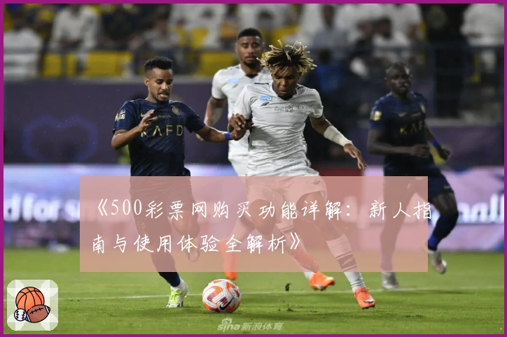 《500彩票网购买功能详解：新人指南与使用体验全解析》