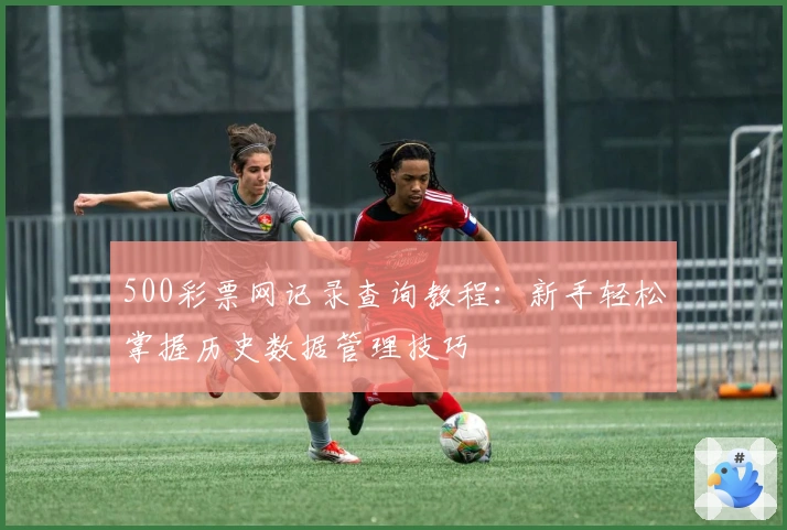 500彩票网记录查询教程：新手轻松掌握历史数据管理技巧