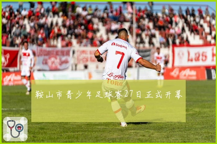 鞍山市青少年足球赛27日正式开幕